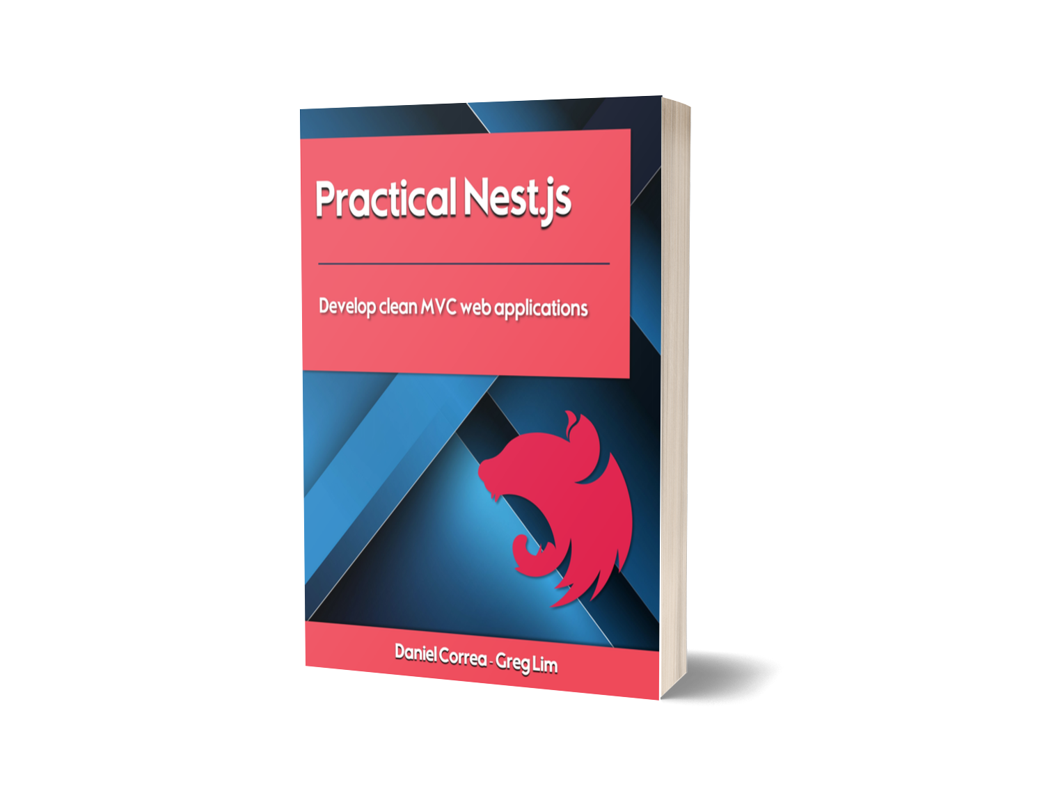 Practical Nest.js Book